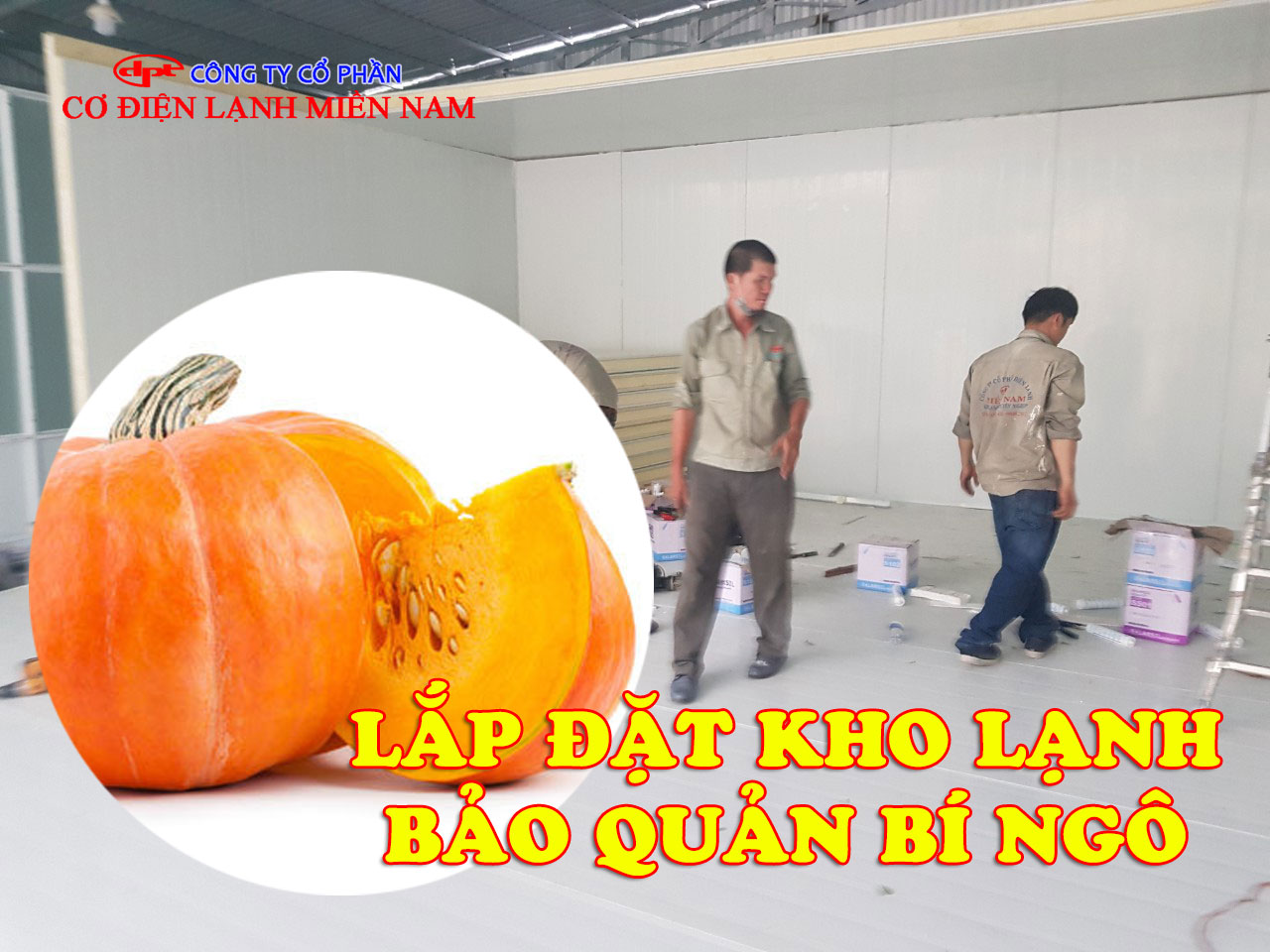 Kho lạnh bảo quản bí ngô công nghiệp với hệ thống làm lạnh hiện đại