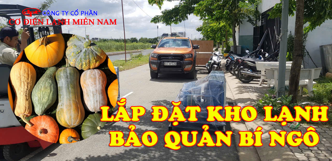 Thi công lắp đặt kho lạnh bảo quản bí ngô tại thực tế