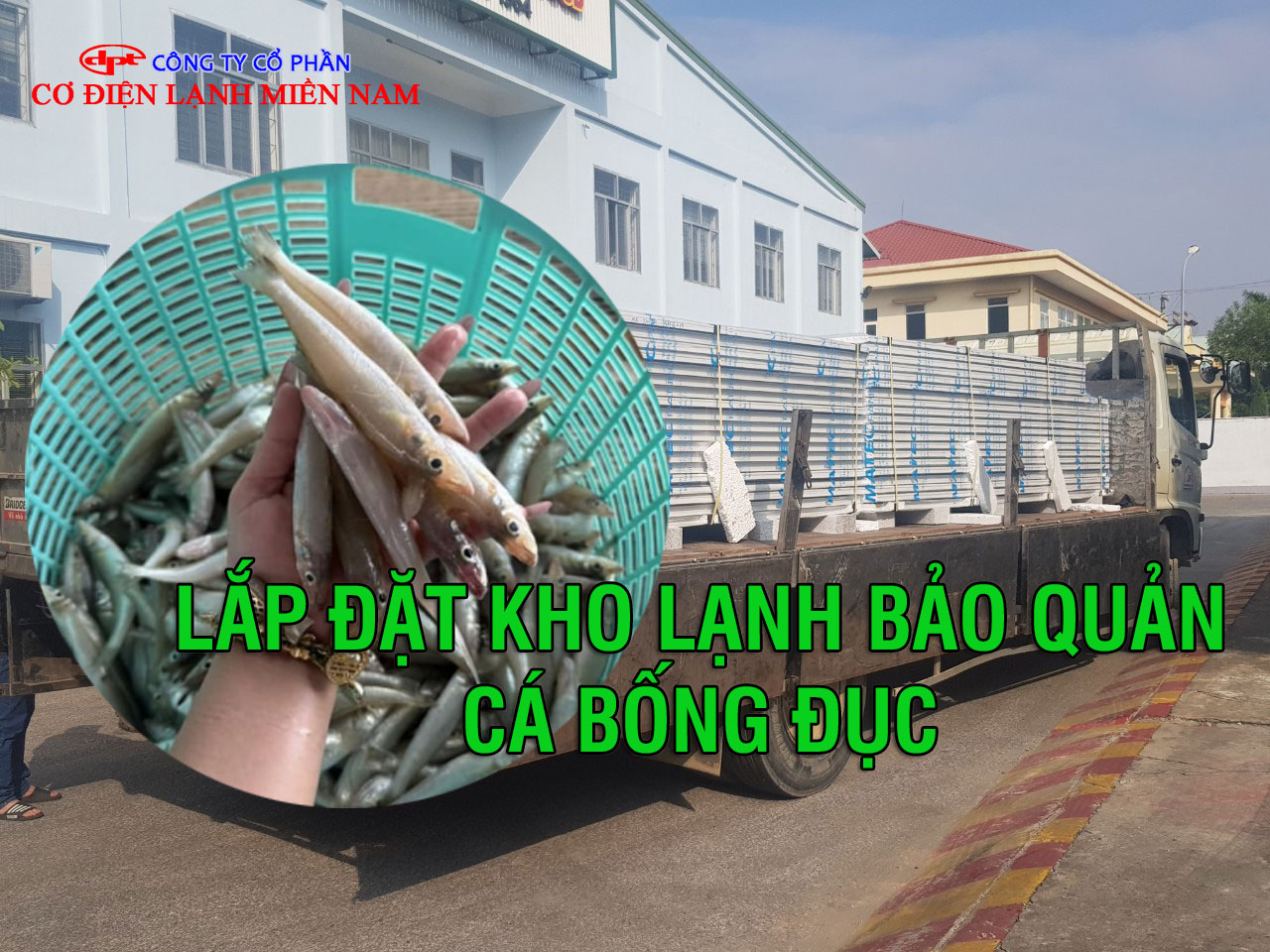 Lắp đặt kho lạnh để bảo quản cá bống đục - Hình 1
