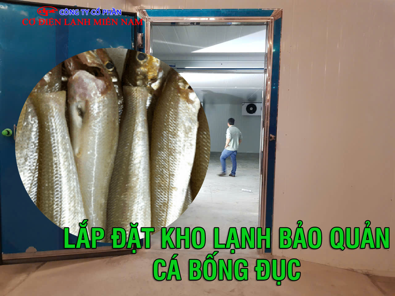 Lắp đặt kho lạnh để bảo quản cá bống đục - Hình 4