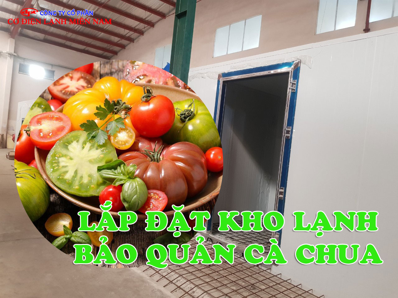 Kho lạnh bảo quản cà chua công nghiệp dung tích lớn