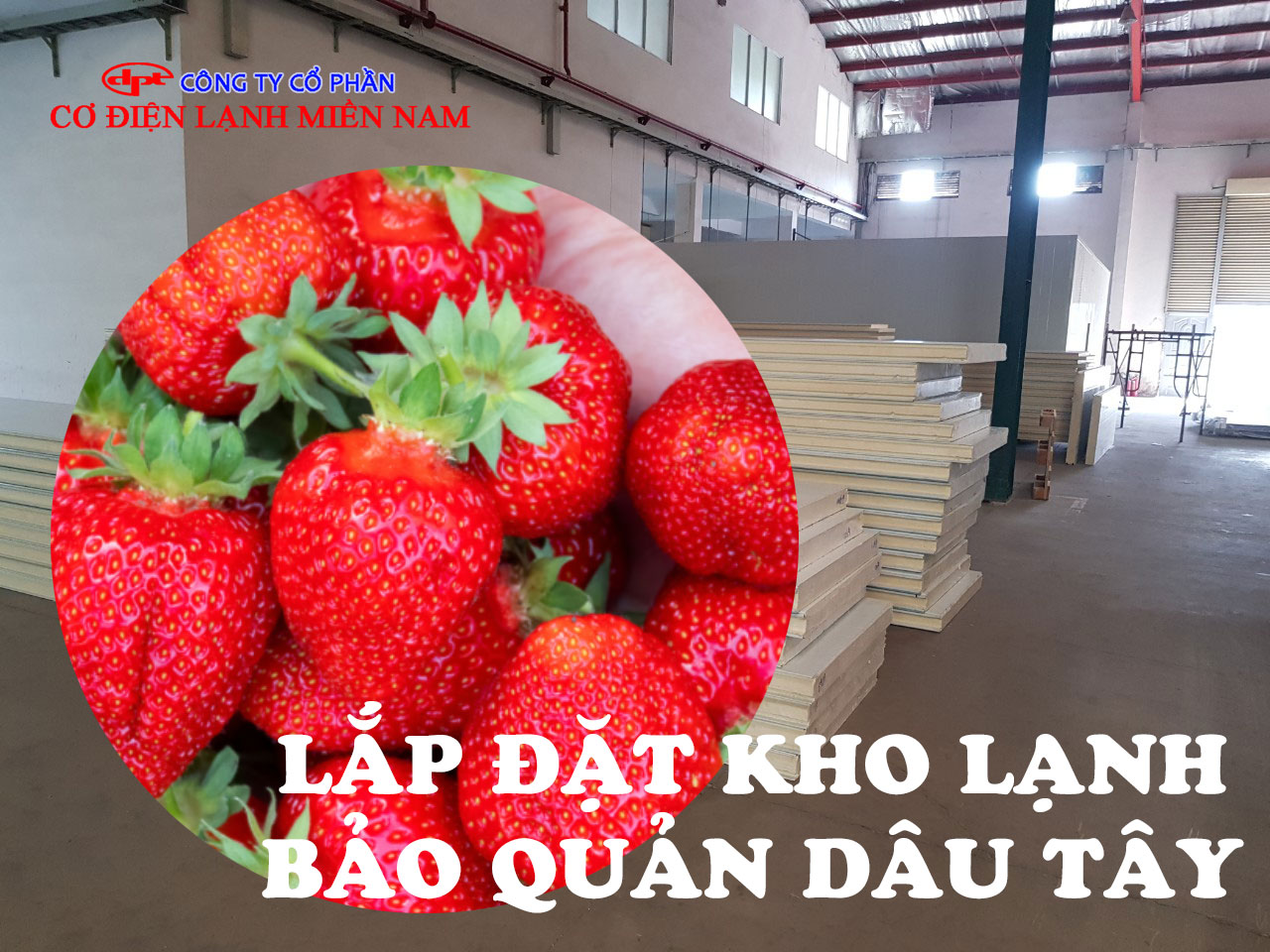 Kho Lạnh Bảo Quản Dâu Tây - Hình 1
