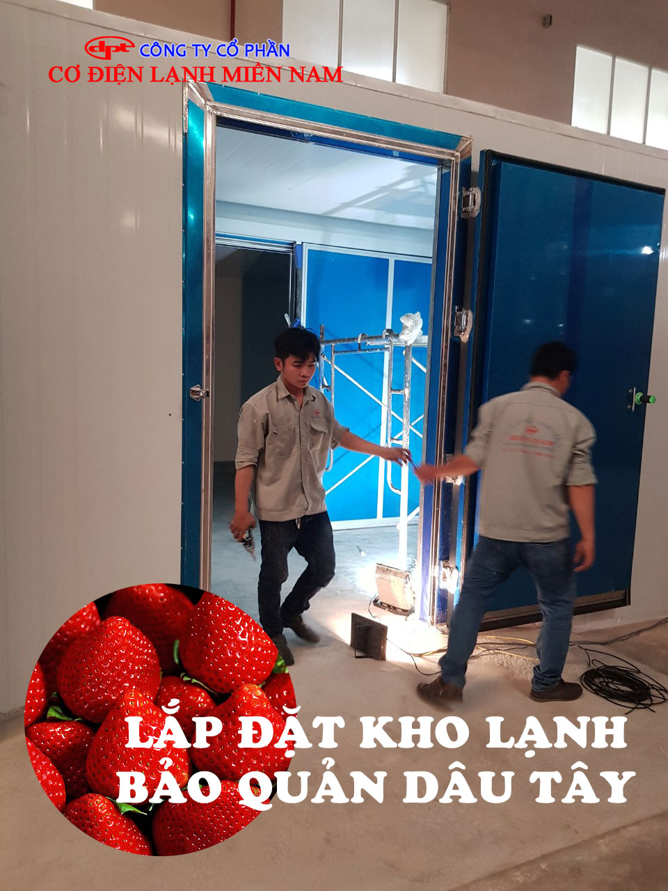 Kho Lạnh Bảo Quản Dâu Tây - Hình 2