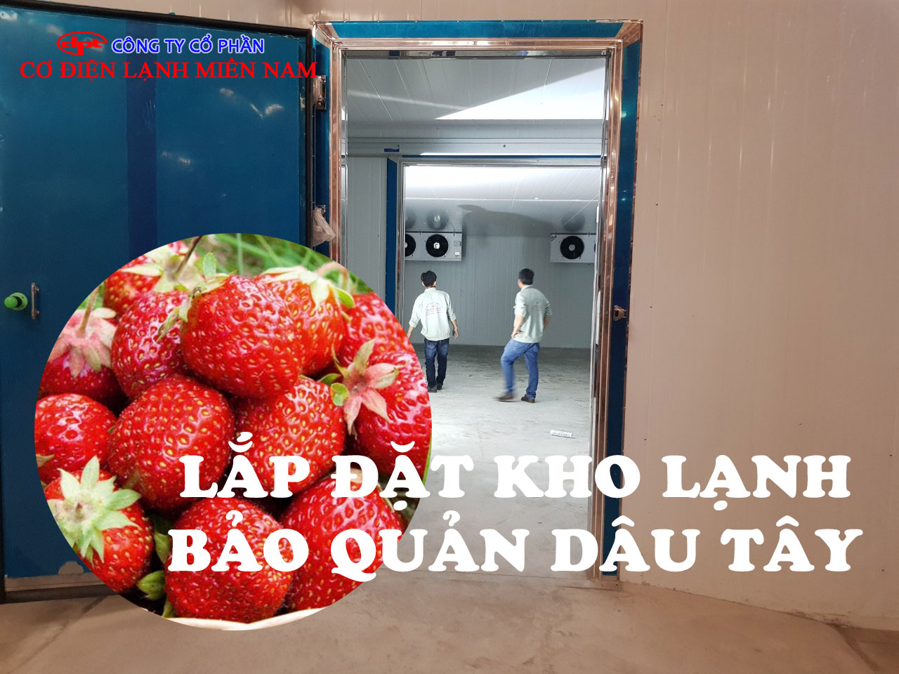 Kho Lạnh Bảo Quản Dâu Tây - Hình 3