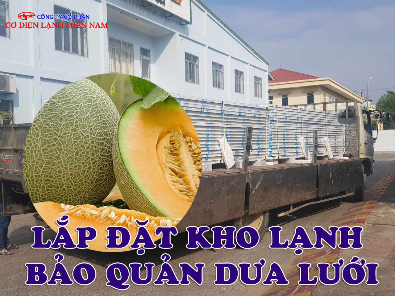 Lắp đặt kho lạnh bảo quản quả dưa lưới - Hình 1