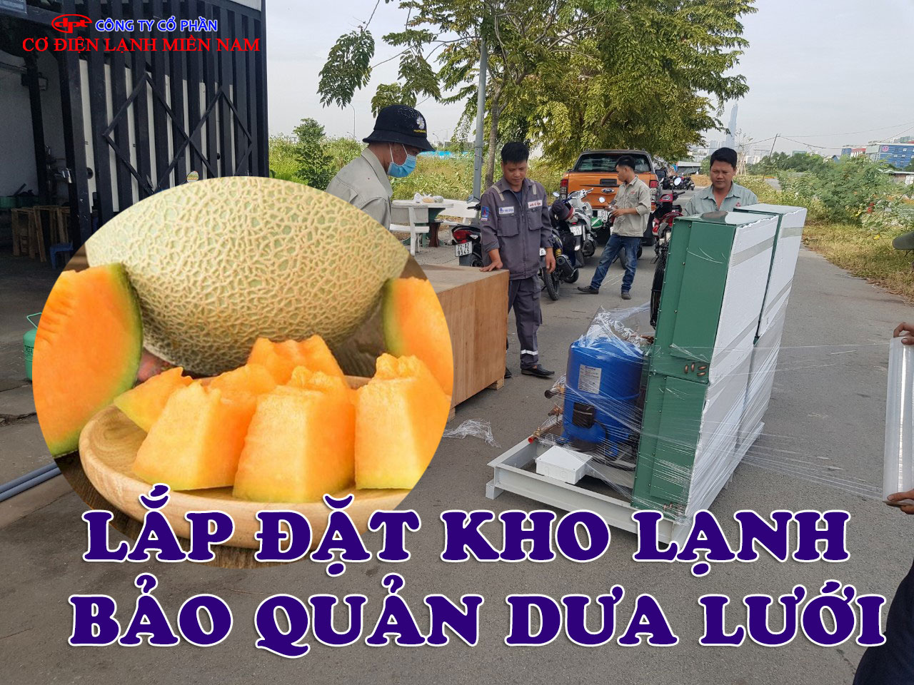 Lắp đặt kho lạnh bảo quản quả dưa lưới - Hình 2