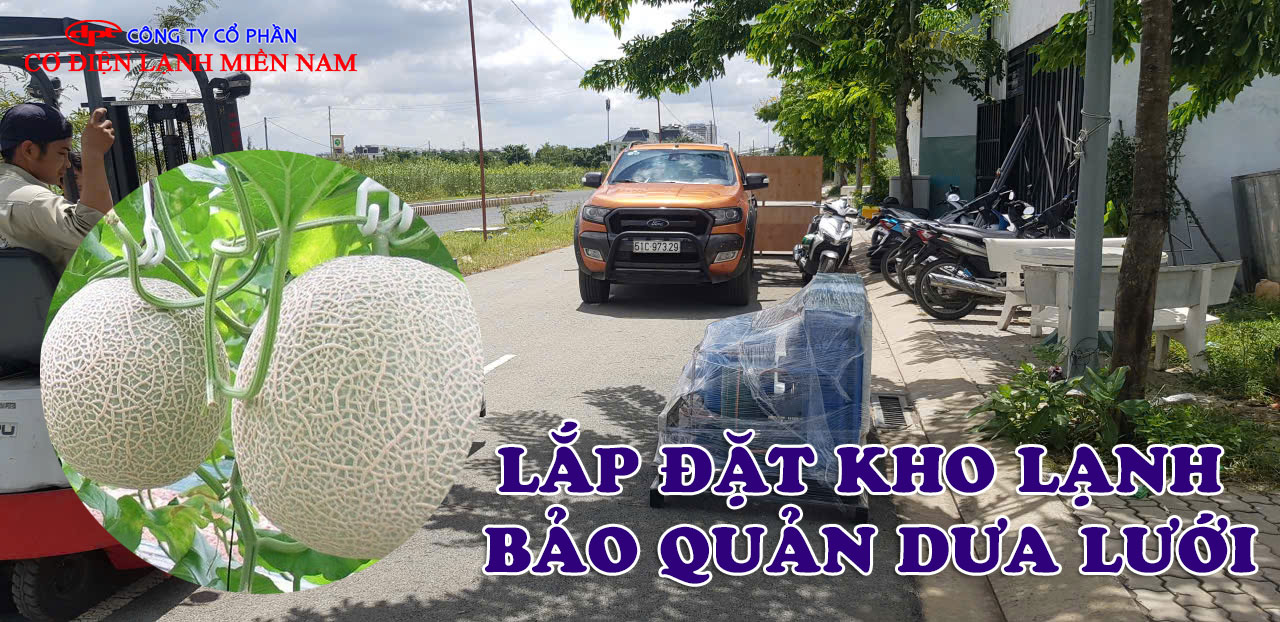 Lắp đặt kho lạnh bảo quản quả dưa lưới - Hình 3