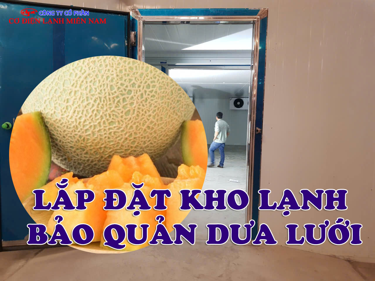 Lắp đặt kho lạnh bảo quản quả dưa lưới - Hình 4