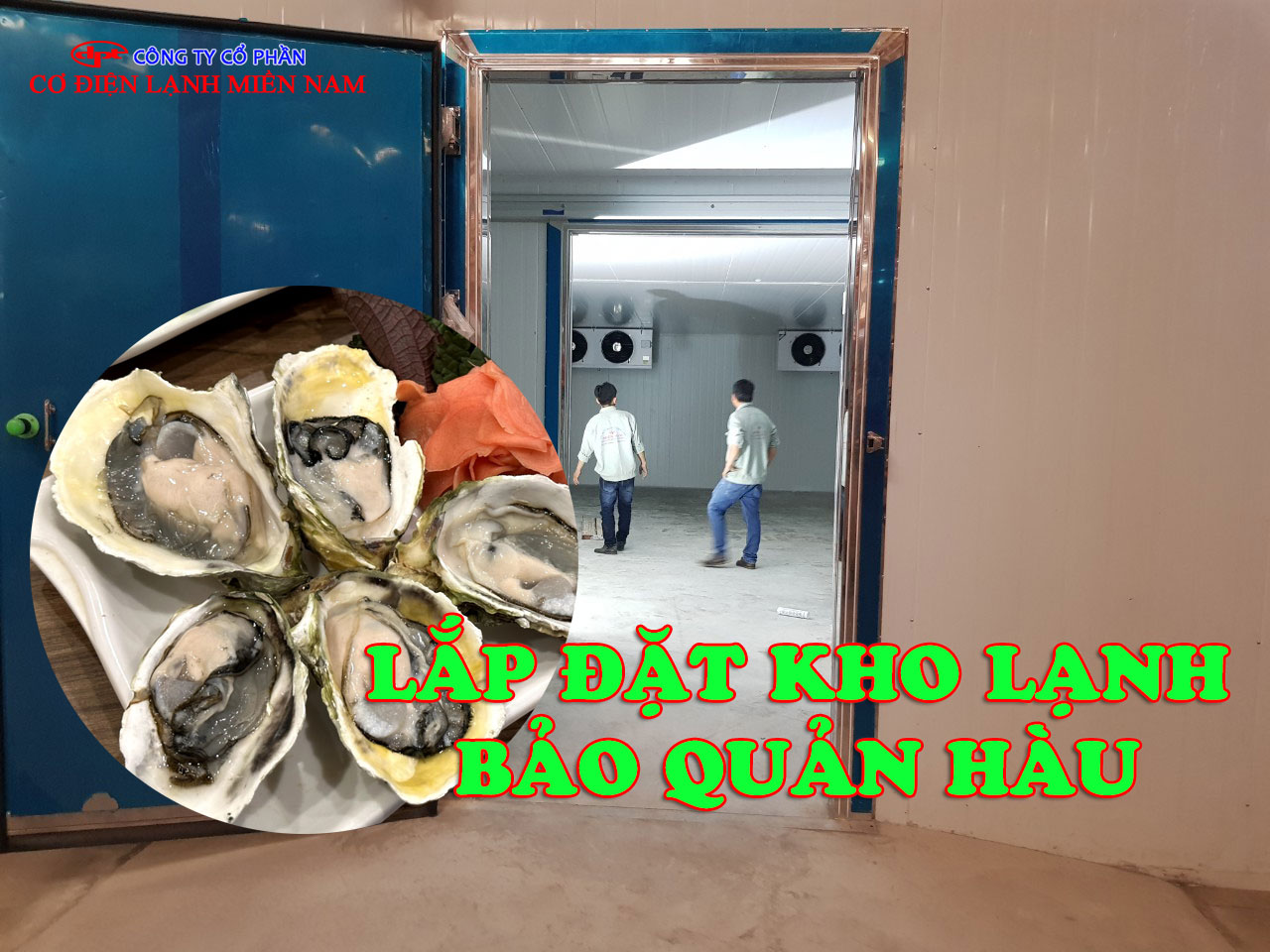 Lắp đặt Kho Lạnh Bảo Quản Hàu - Hình 1
