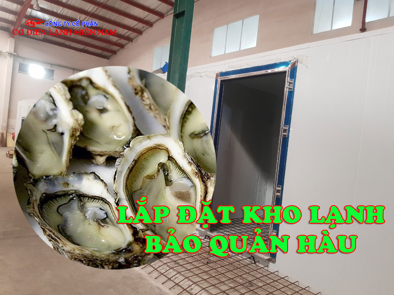 Lắp đặt Kho Lạnh Bảo Quản Hàu - Hình 2