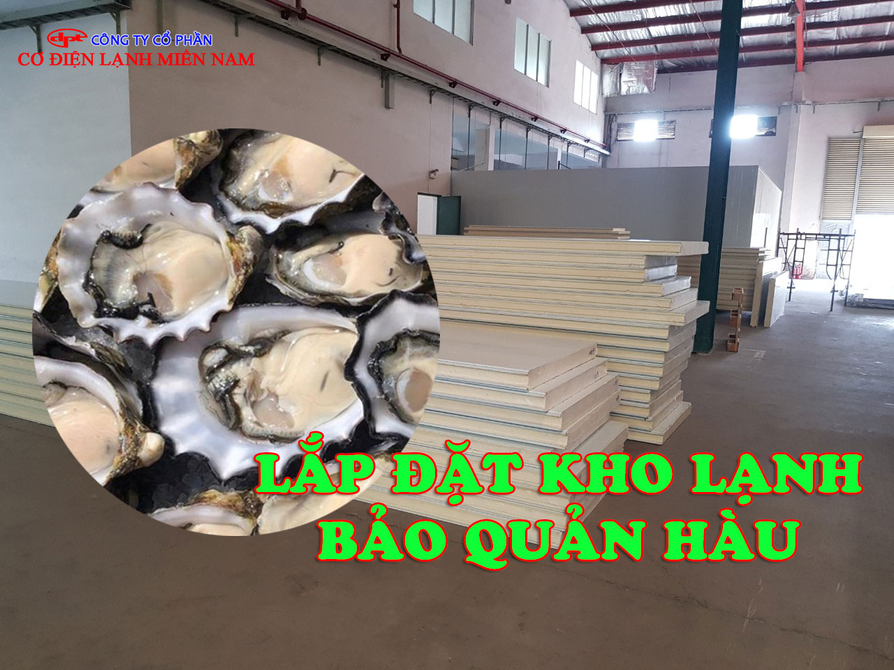 Lắp đặt Kho Lạnh Bảo Quản Hàu - Hình 3