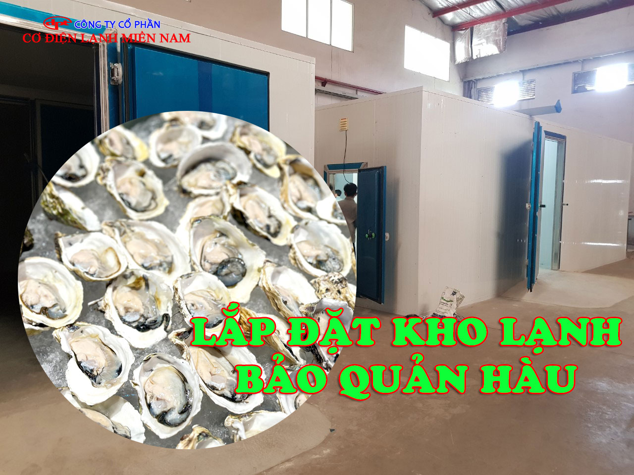 Lắp đặt Kho Lạnh Bảo Quản Hàu - Hình 4