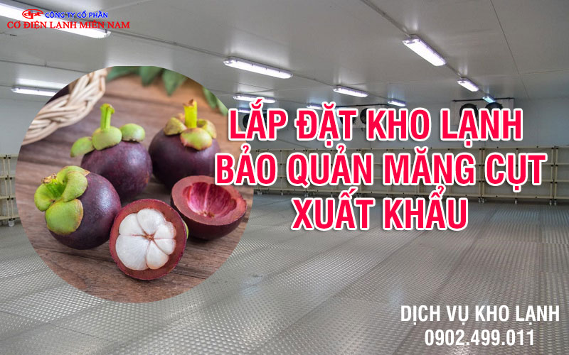 Lắp đặt kho lạnh bảo quản măng cụt Việt Nam xuất khẩu - Hình 1