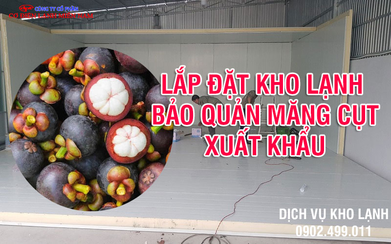 Lắp đặt kho lạnh bảo quản măng cụt Việt Nam xuất khẩu - Hình 2