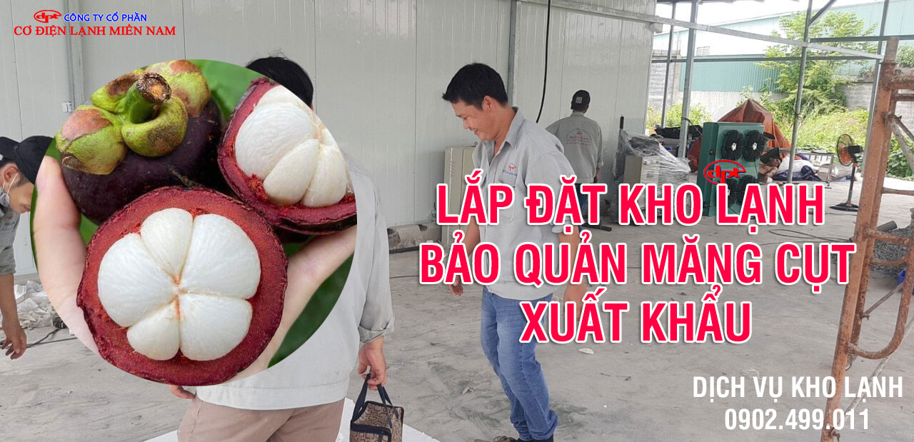 Lắp đặt kho lạnh bảo quản măng cụt Việt Nam xuất khẩu - Hình 3