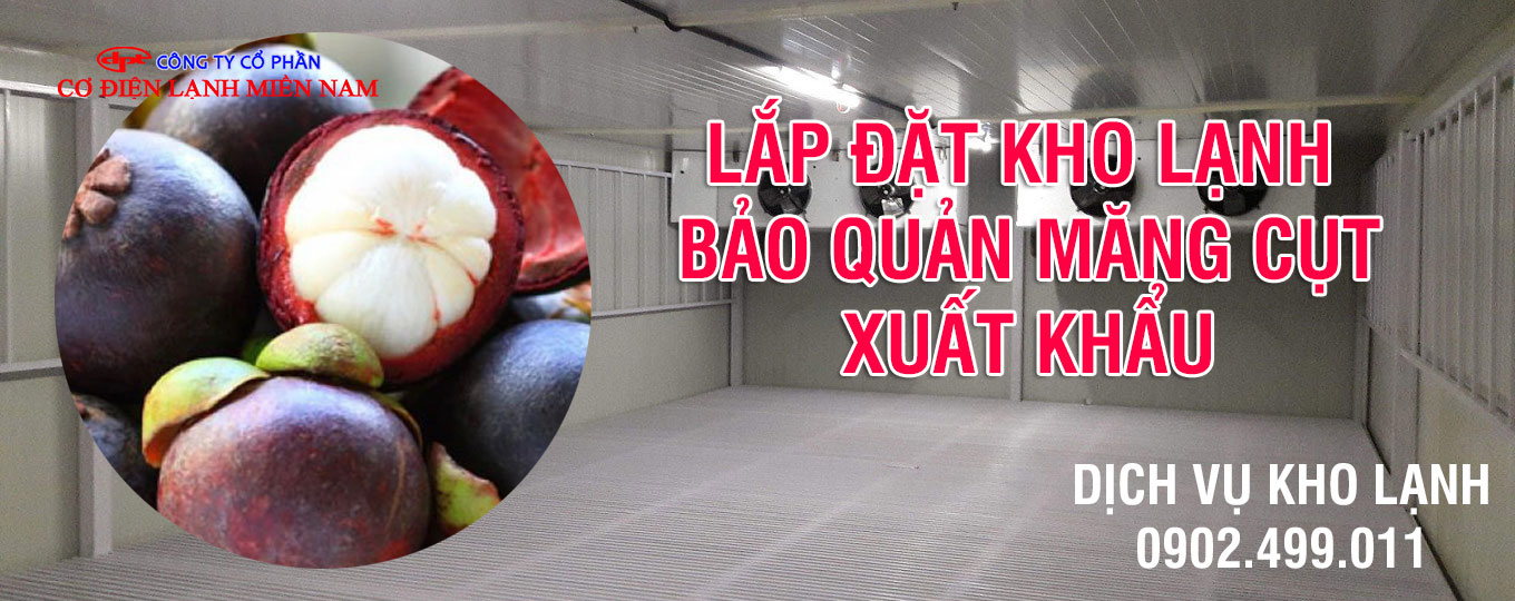 Lắp đặt kho lạnh bảo quản măng cụt Việt Nam xuất khẩu - Hình 4