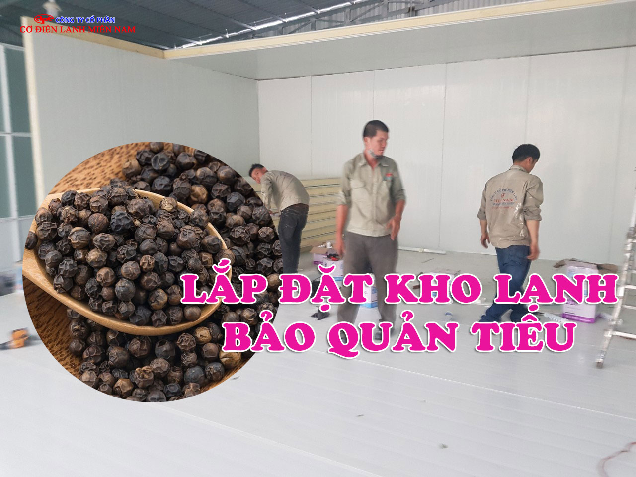 kho lạnh bảo quản tiêu quy mô lớn cho doanh nghiệp