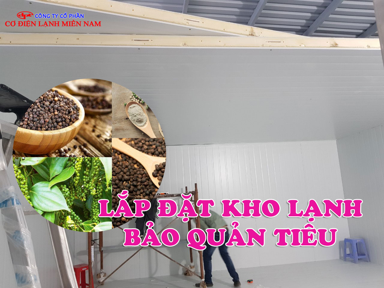 sắp xếp tiêu trong kho lạnh bảo quản khoa học