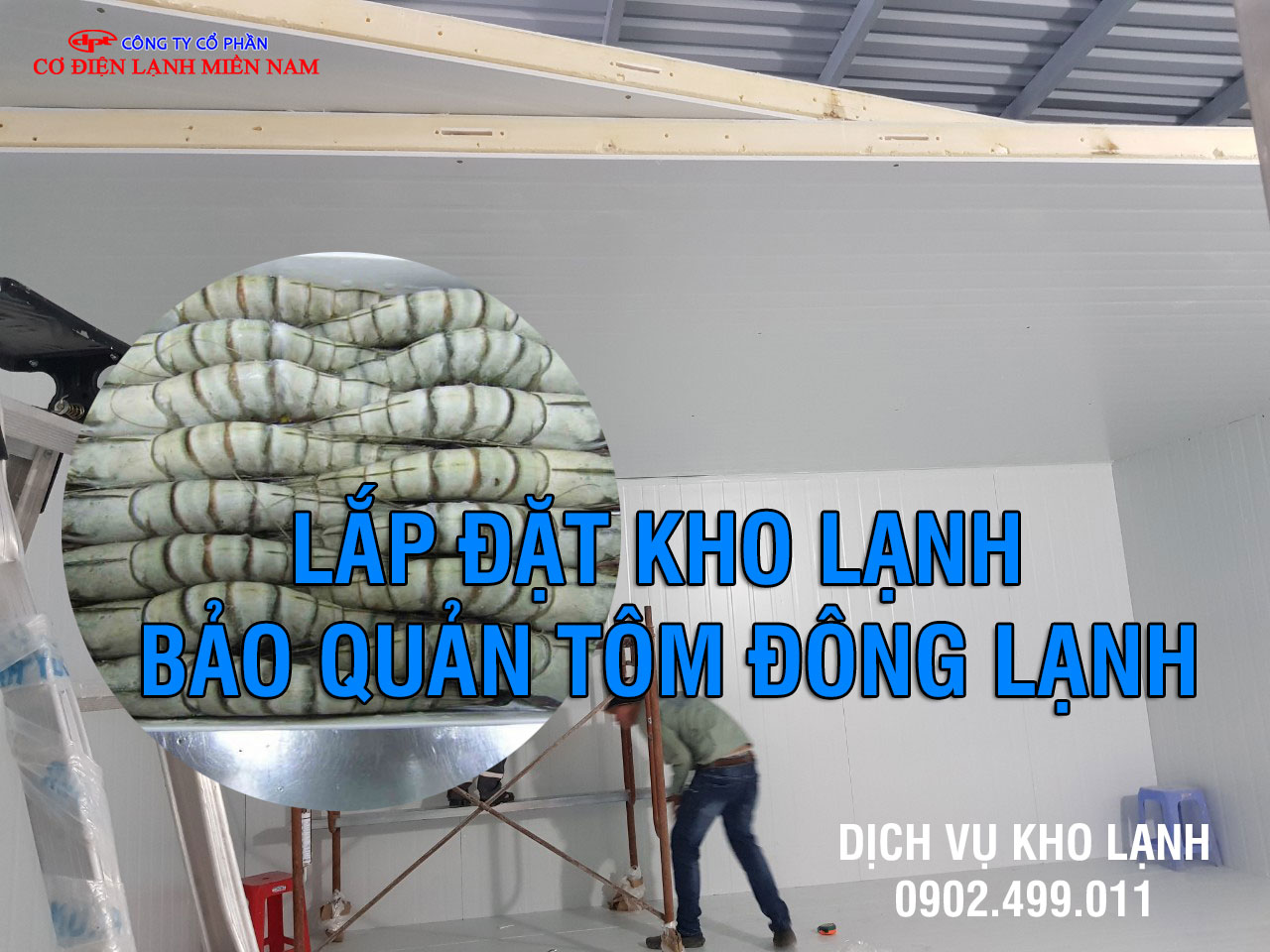 Lắp đặt kho lạnh bảo quản tôm đông lạnh - Hình 2
