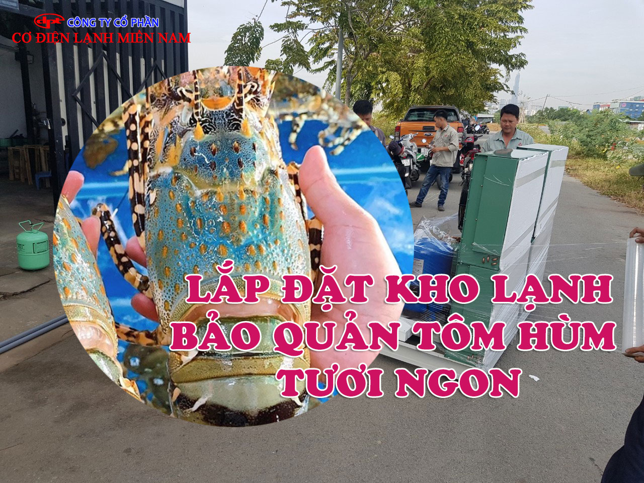 Lắp đặt kho lạnh bảo quản Tôm Hùm tươi ngon - Hình 1