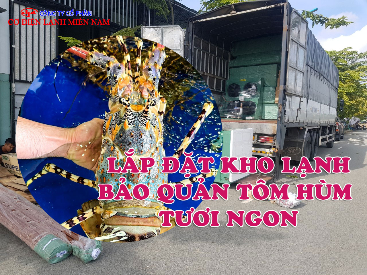 Lắp đặt kho lạnh bảo quản Tôm Hùm tươi ngon - Hình 2