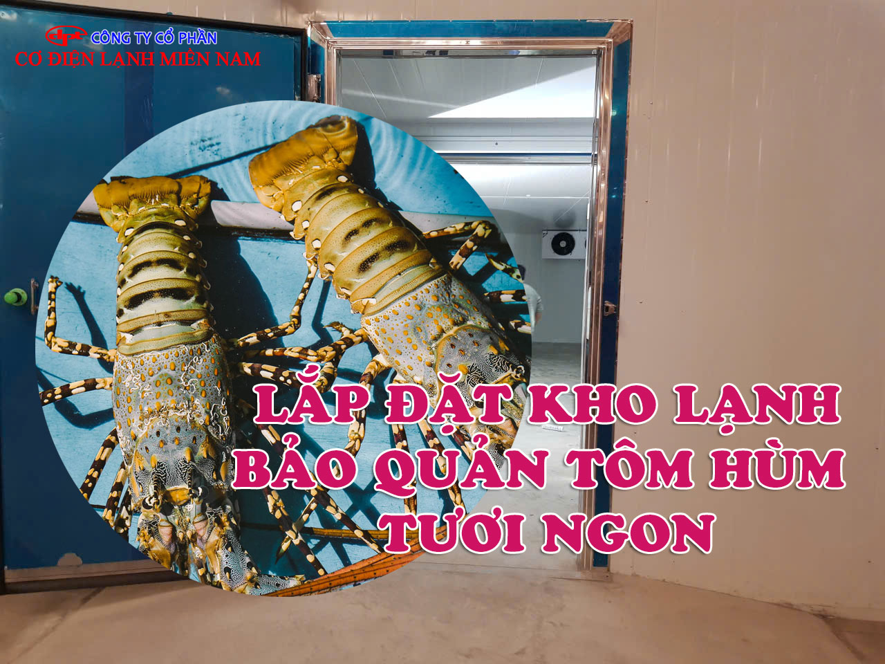 Lắp đặt kho lạnh bảo quản Tôm Hùm tươi ngon - Hình 4