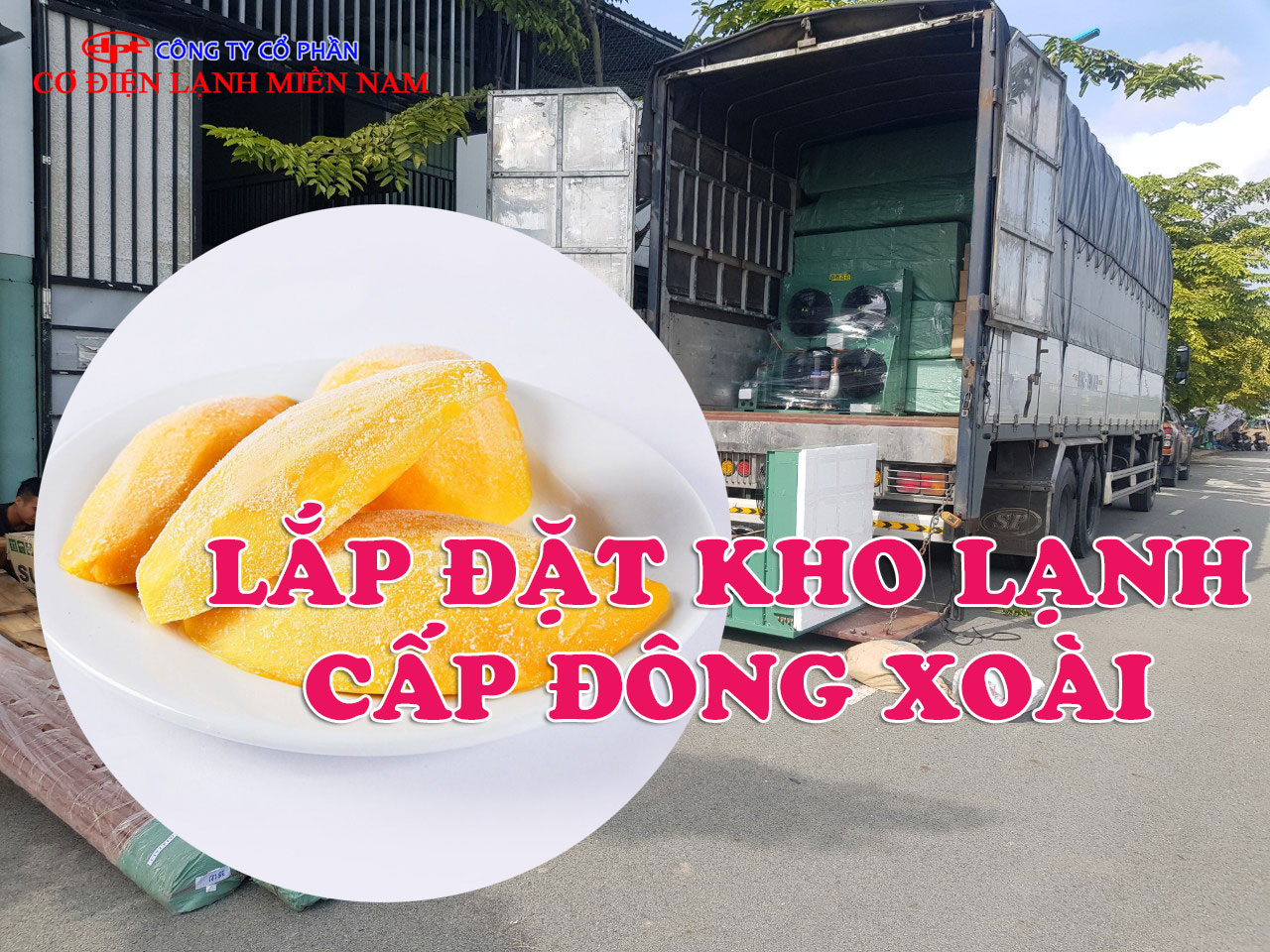 Kho lạnh bảo quản xoài tại Đồng Tháp quy mô lớn