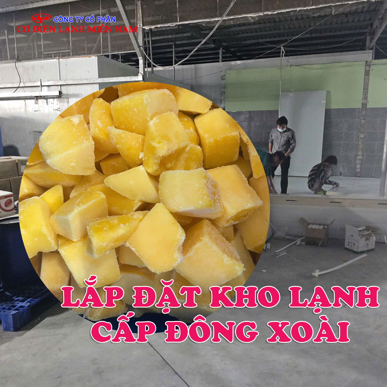 Kho lạnh xoài xuất khẩu tại Bình Thuận đạt chuẩn