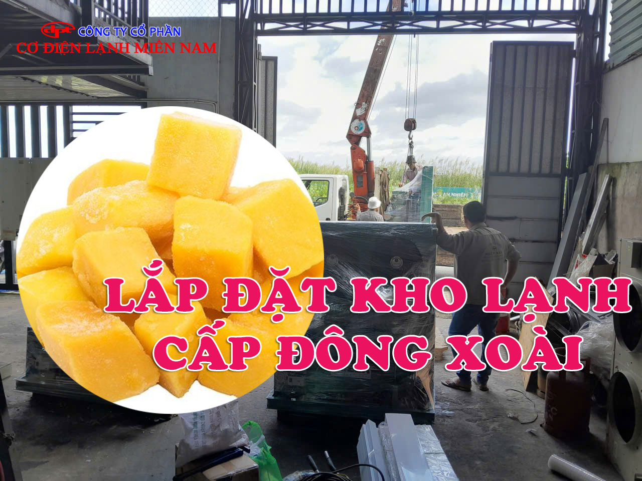 Hệ thống kho lạnh xoài công nghiệp tại Sơn La