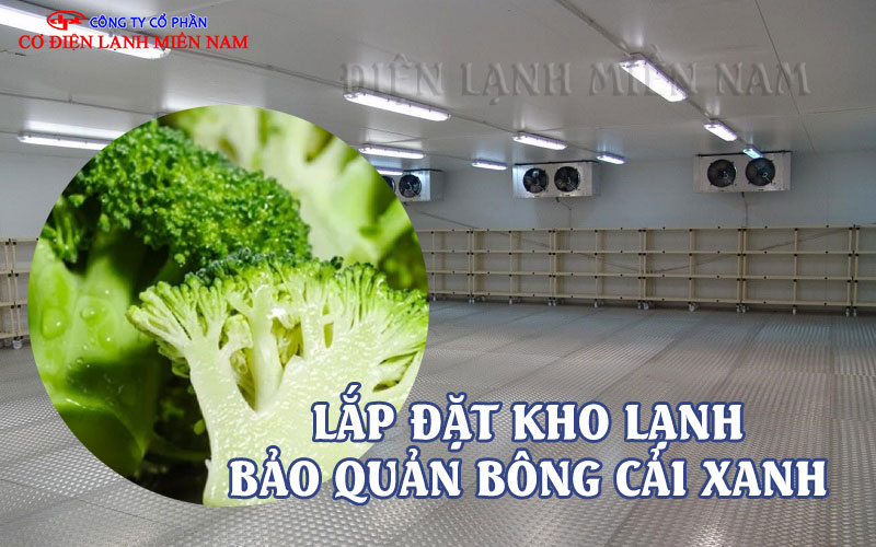 Kho lạnh bảo quản bông cải xanh công nghiệp hiện đại