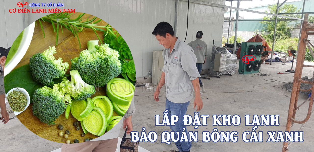 Hệ thống máy nén và dàn lạnh kho lạnh bông cải