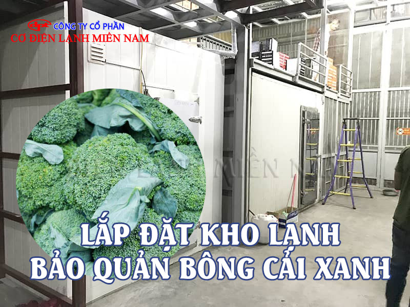 Bông cải xanh tươi được bảo quản trong kho lạnh