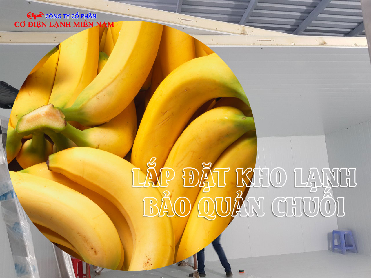 Kho lạnh bảo quản chuối công nghiệp tiêu chuẩn cao