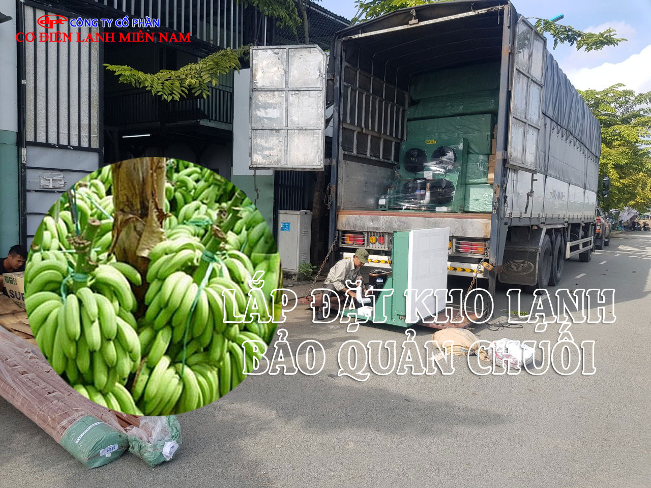 Chuối được bảo quản trong kho lạnh giữ độ tươi lâu