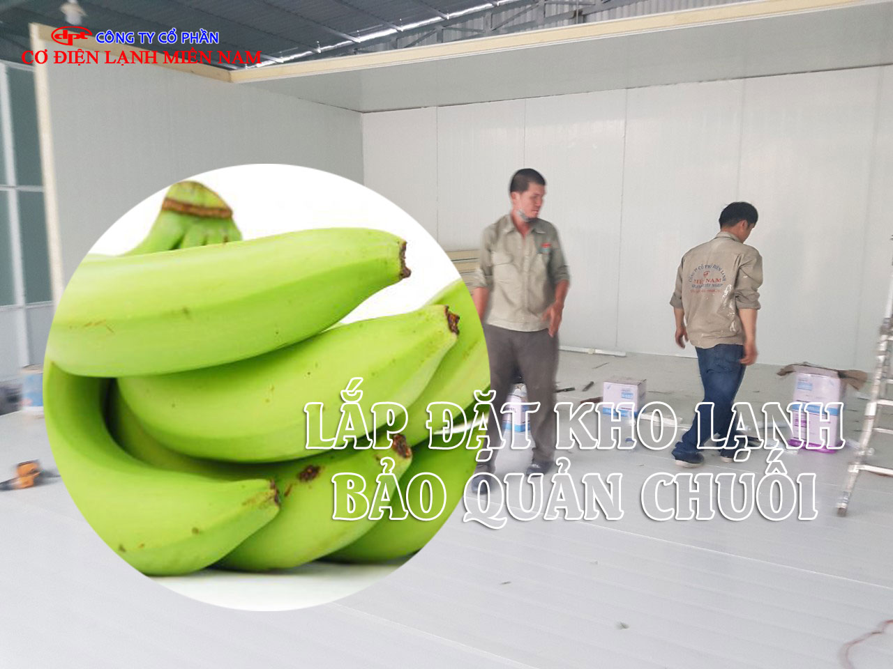 Thi công lắp đặt kho lạnh bảo quản chuối thực tế
