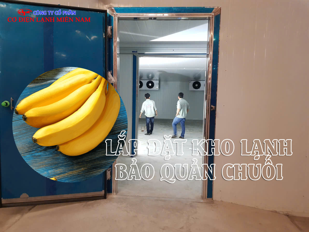 Hệ thống máy móc kho lạnh bảo quản chuối hiện đại