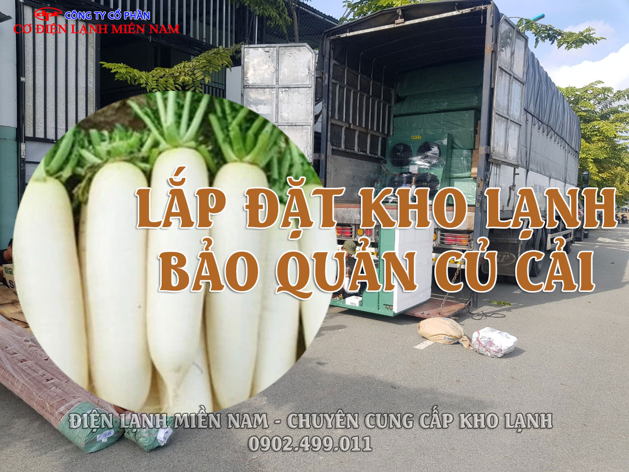 Kho lạnh bảo quản củ cải công nghiệp hiện đại