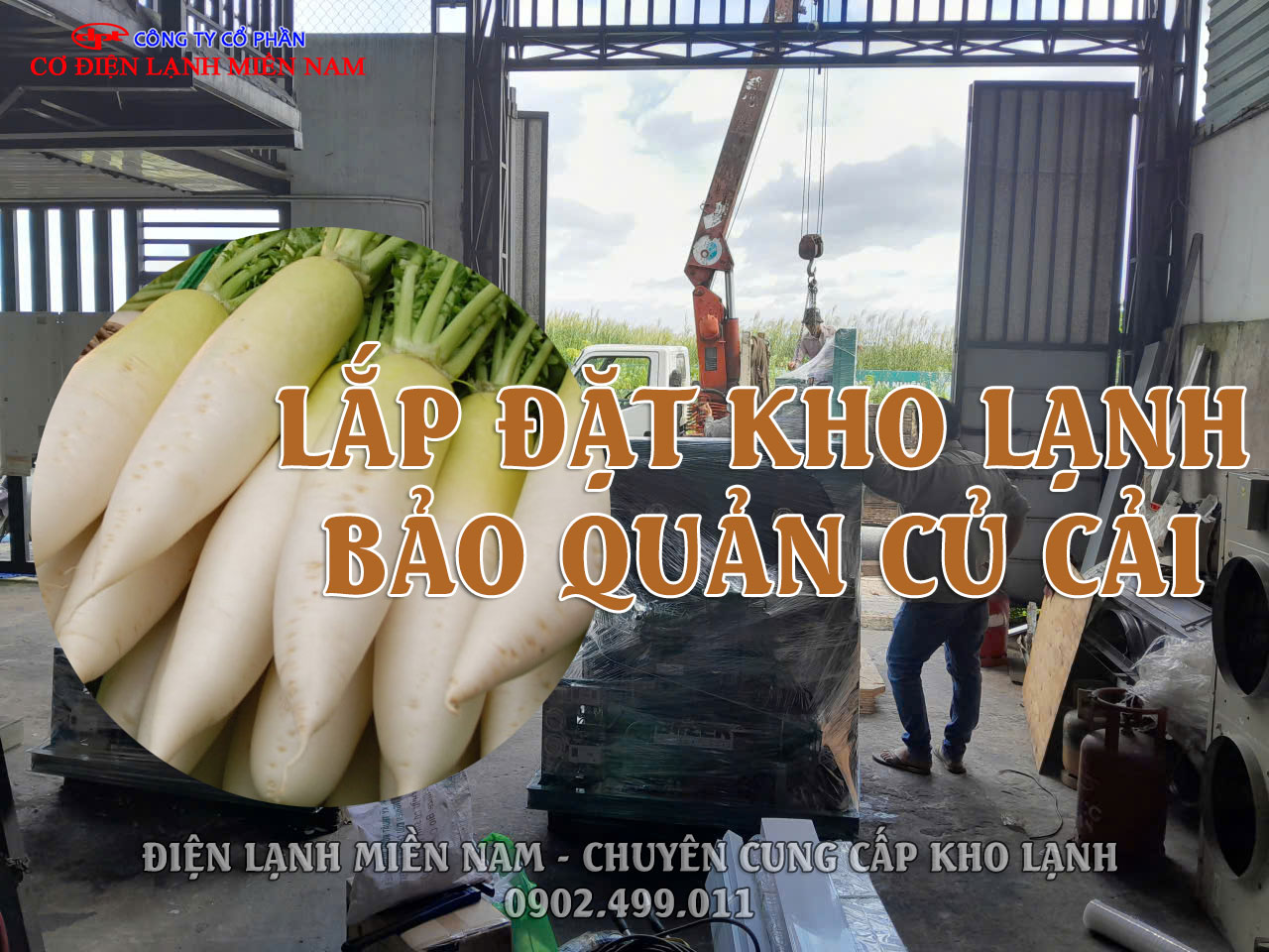 Thi công lắp đặt panel kho lạnh bảo quản củ cải