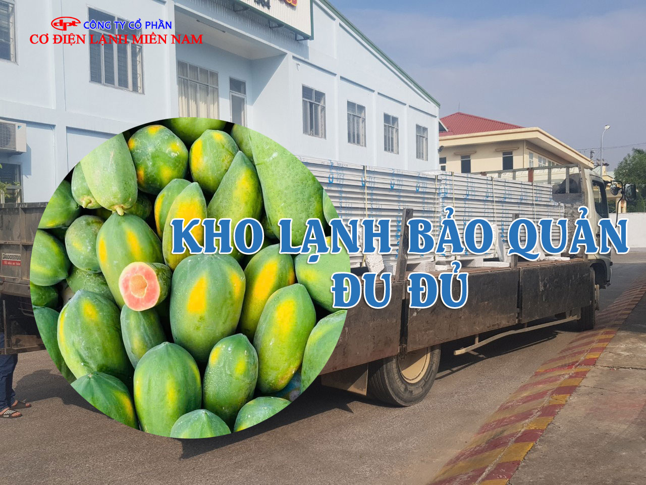 Kho lạnh bảo quản đu đủ công nghiệp với hệ thống kệ chứa và dàn lạnh hiện đại