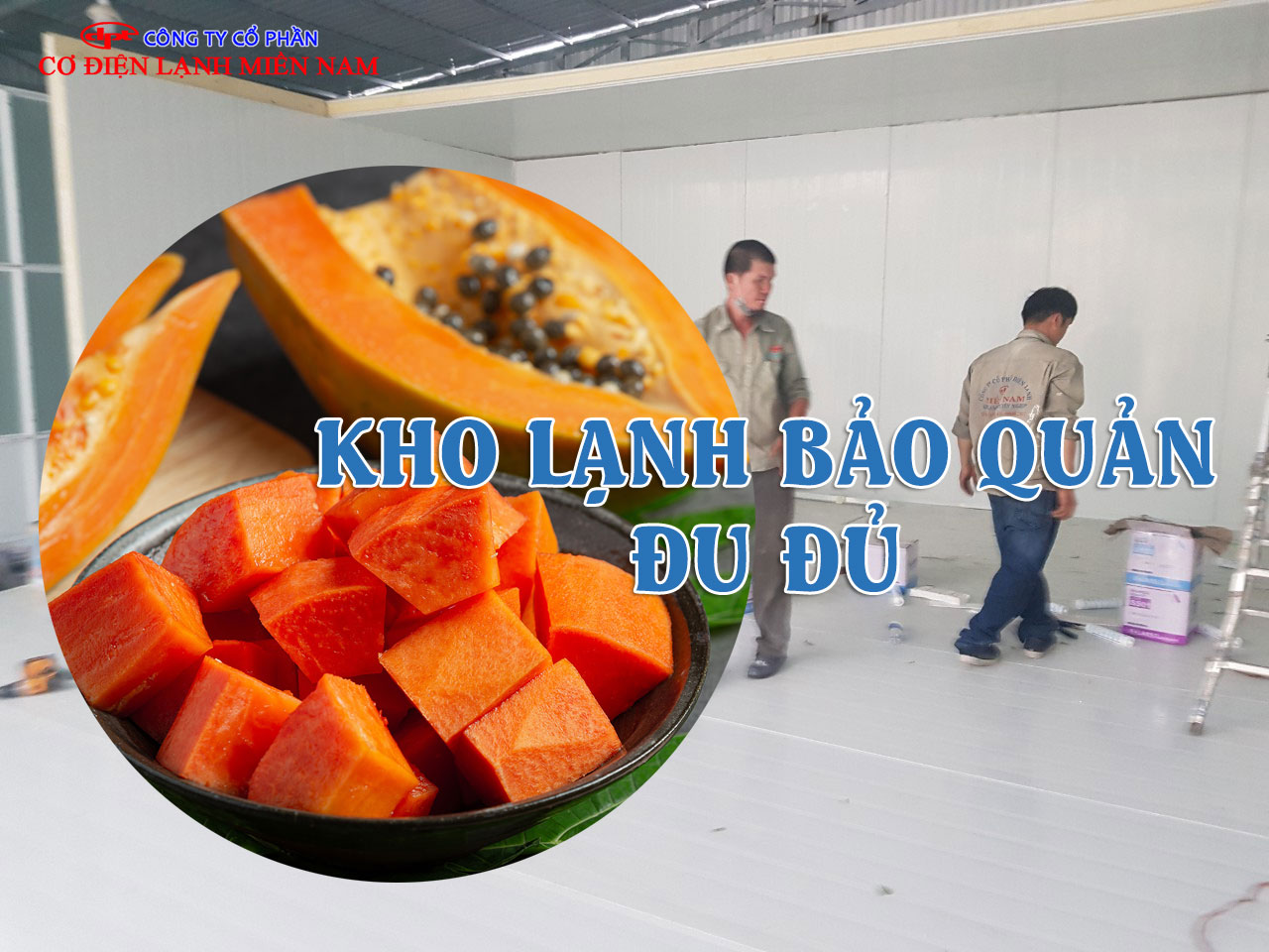 Kỹ thuật viên thi công và lắp đặt kho lạnh bảo quản đu đủ