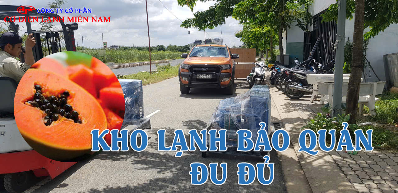 Hệ thống máy nén và dàn lạnh kho lạnh bảo quản đu đủ