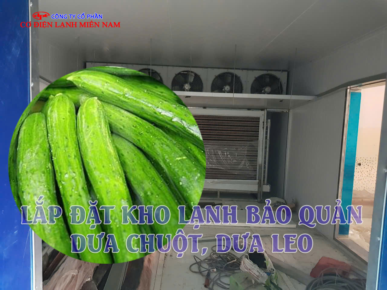 Hệ thống dàn lạnh kho lạnh bảo quản dưa hoạt động hiệu quả