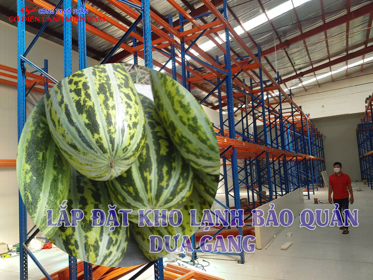 Kho lạnh bảo quản dưa gang và dưa chuột quy mô lớn