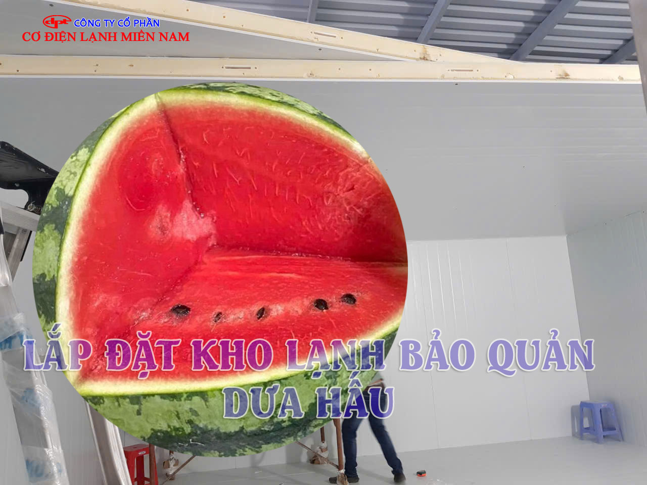 Kho lạnh bảo quản dưa hấu công nghiệp hiện đại