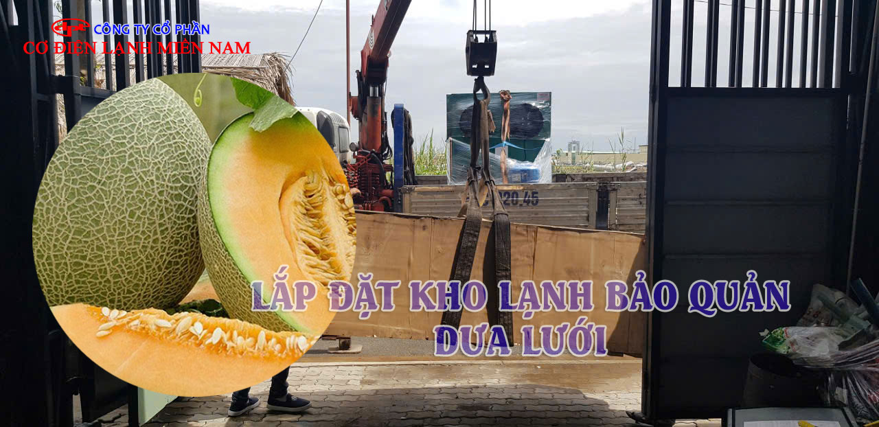 Bên trong kho lạnh bảo quản dưa lưới với kệ chứa khoa học