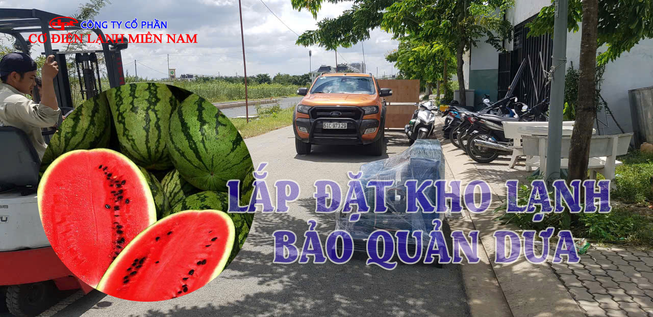 Thi công lắp đặt kho lạnh bảo quản dưa chuyên nghiệp