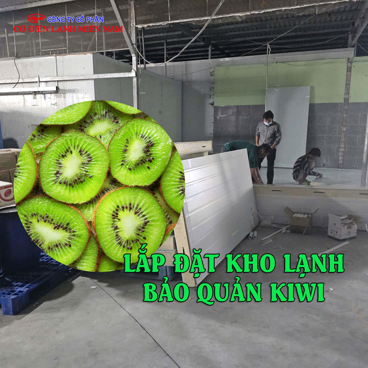 Kho lạnh bảo quản kiwi hiện đại với hệ thống kệ chứa trái cây