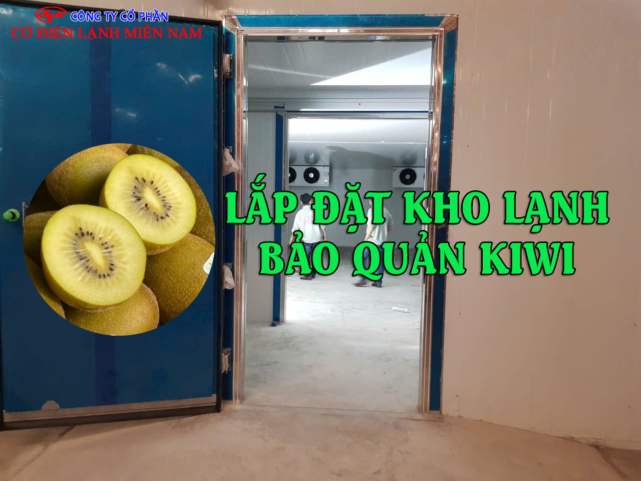 Kiwi tươi được bảo quản trong kho lạnh đạt tiêu chuẩn