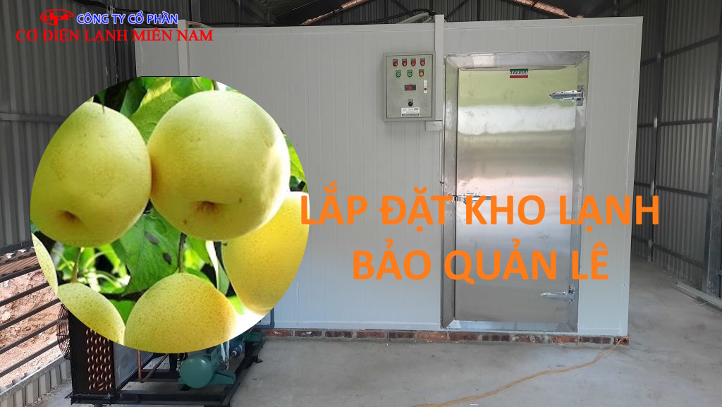 Kỹ thuật viên khảo sát lắp đặt kho lạnh bảo quản lê tại công trình