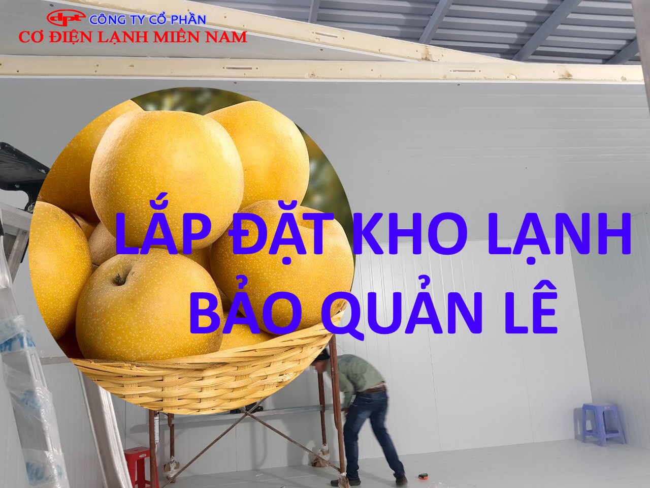 Lắp đặt hệ thống máy nén và dàn lạnh kho lạnh bảo quản lê